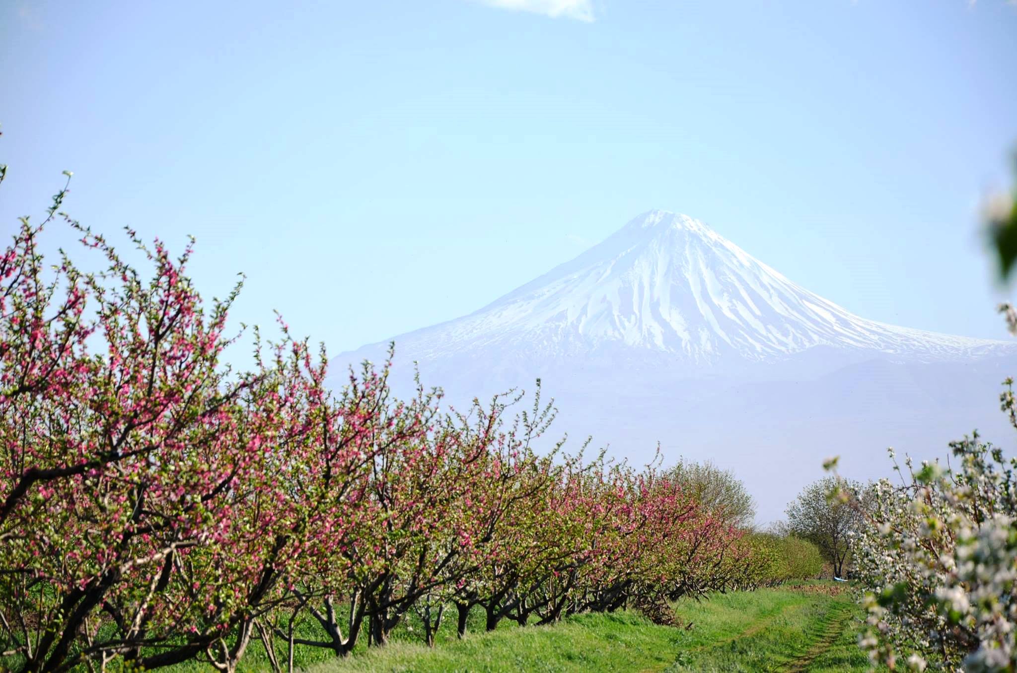 Весна в Армении