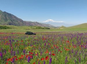 Внедорожный джип-тур по Армении на день