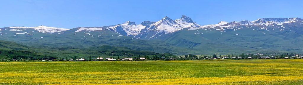 Гора Арагац весной