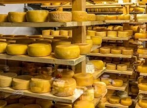 Микаэлянский сыроварня